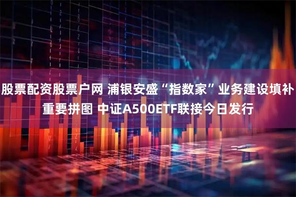 股票配资股票户网 浦银安盛“指数家”业务建设填补重要拼图 中证A500ETF联接今日发行