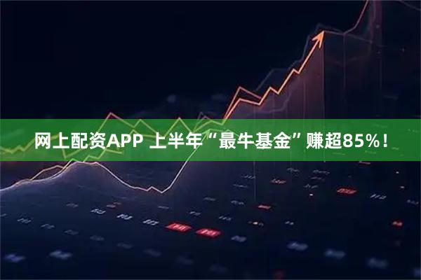 网上配资APP 上半年“最牛基金”赚超85%！