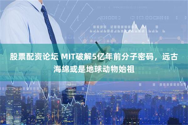 股票配资论坛 MIT破解5亿年前分子密码，远古海绵或是地球动物始祖