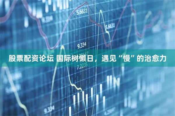股票配资论坛 国际树懒日，遇见“慢”的治愈力