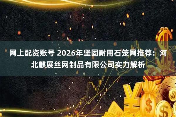 网上配资账号 2026年坚固耐用石笼网推荐:河北麒展丝网制品有限公司实力解析